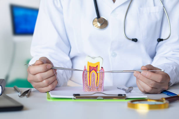 Best Broken or Cracked Tooth Emergency Dentist in Albion, IL